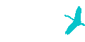 Dutch Island Logo