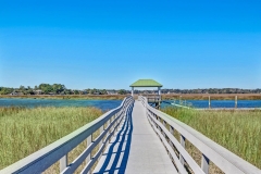4-Peppervine-Ct-Savannah-GA-large-044-002-Dutch-Island-1500x1000-72dpi